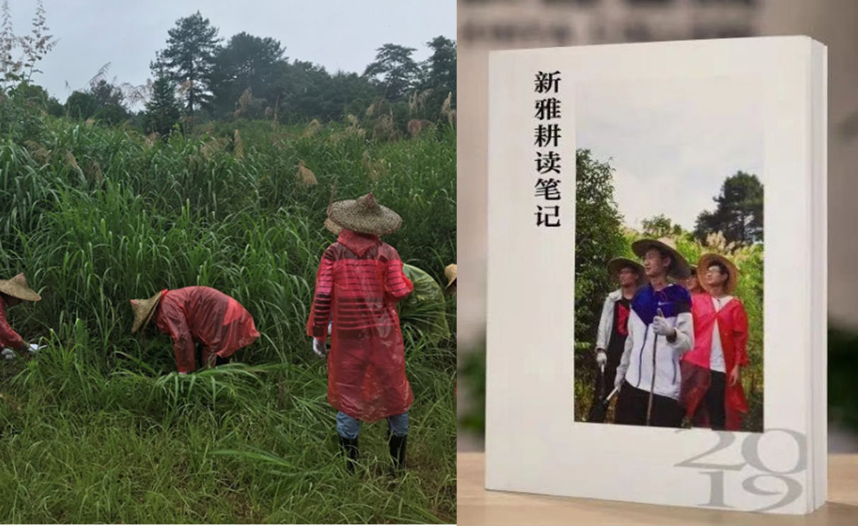 2025新澳门开门原料免费