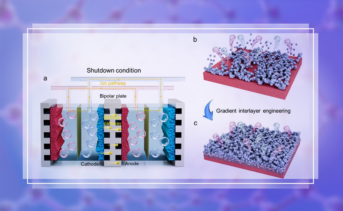 2025新澳门开门原料免费