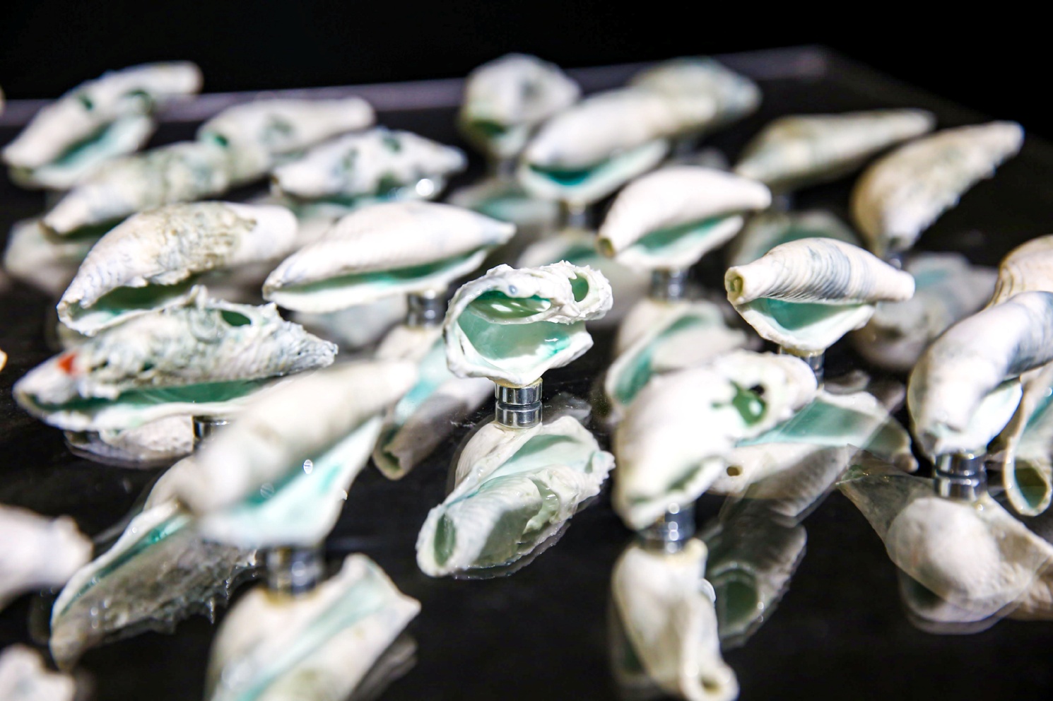 2025新澳门开门原料免费