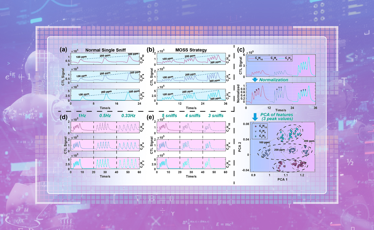 2025新澳门开门原料免费
