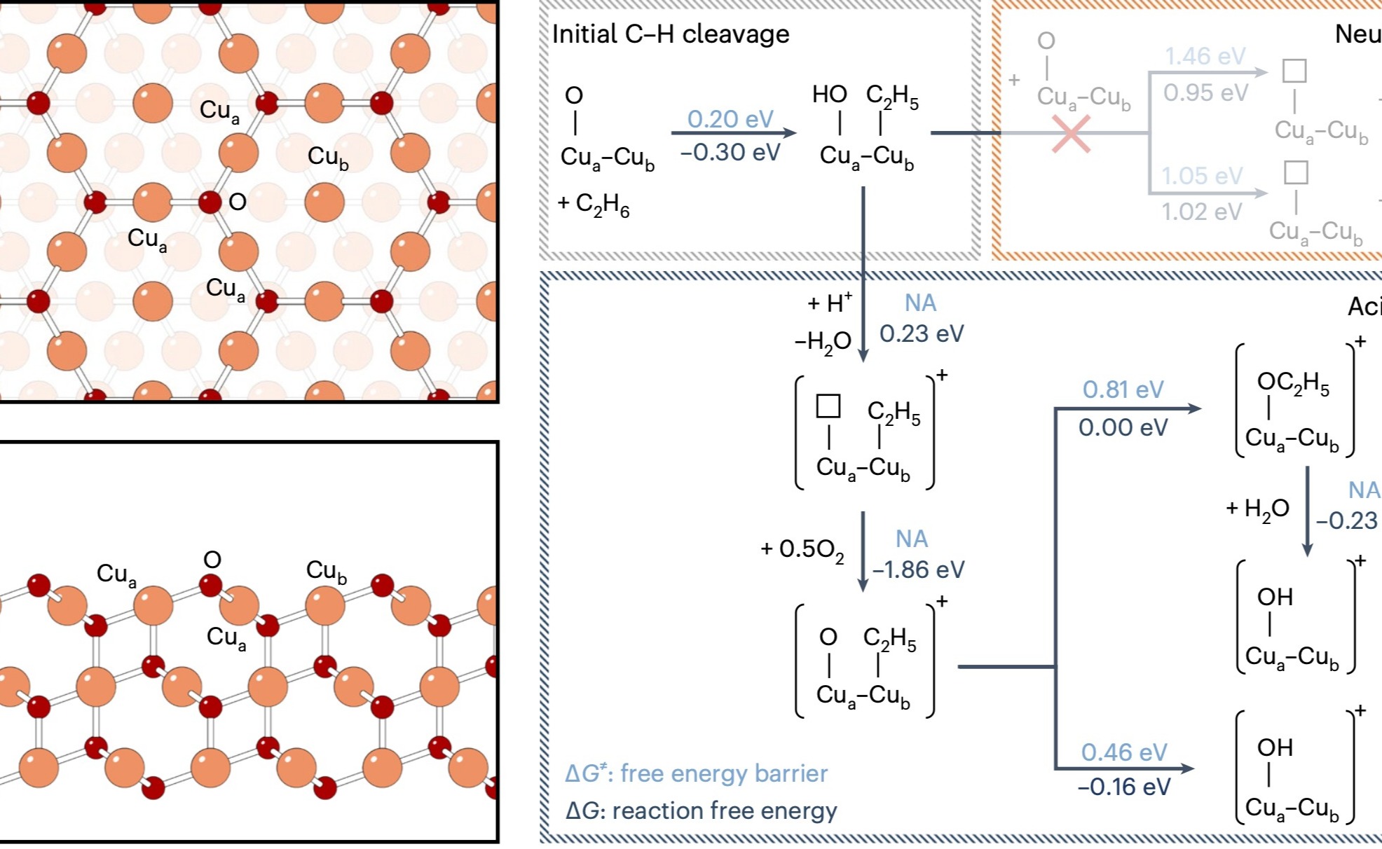 2025新澳门开门原料免费