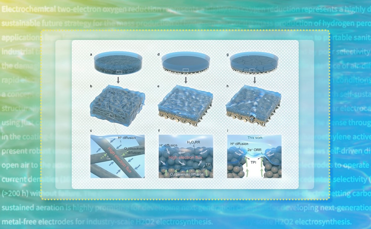 2025新澳门开门原料免费