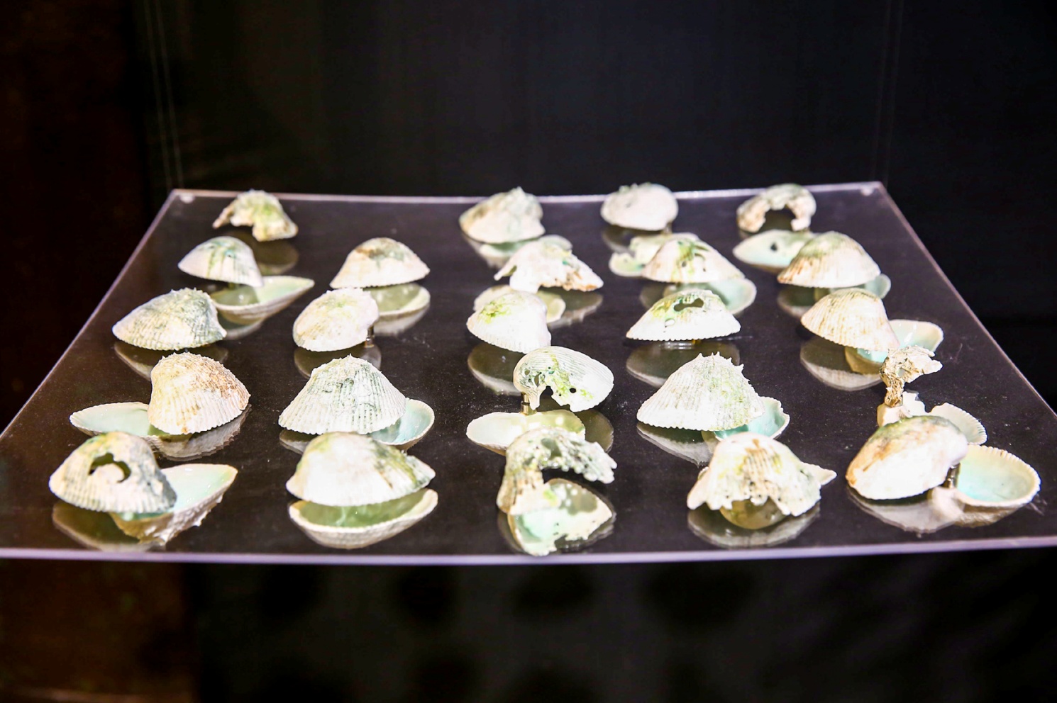 2025新澳门开门原料免费