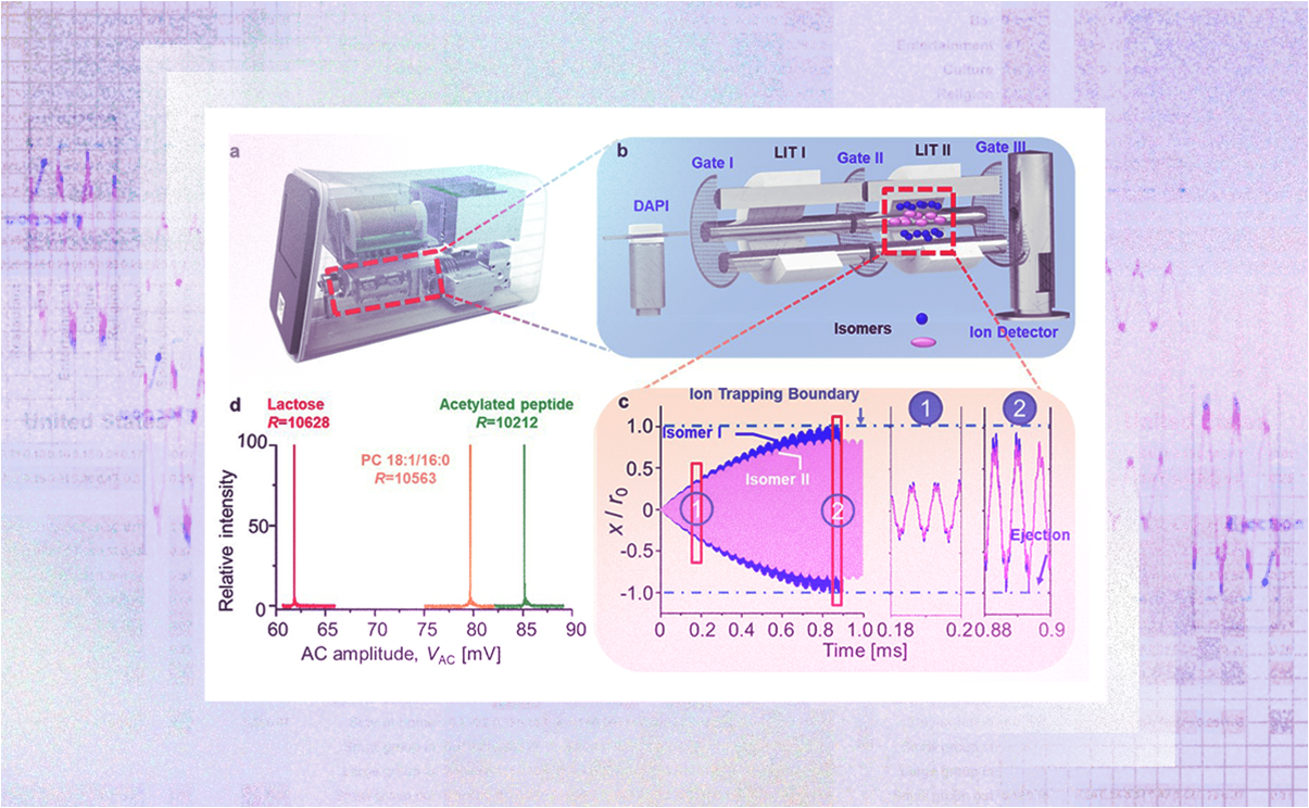 2025新澳门开门原料免费