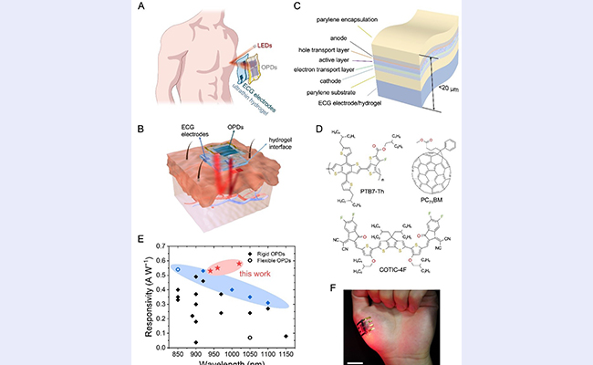 2025新澳门开门原料免费