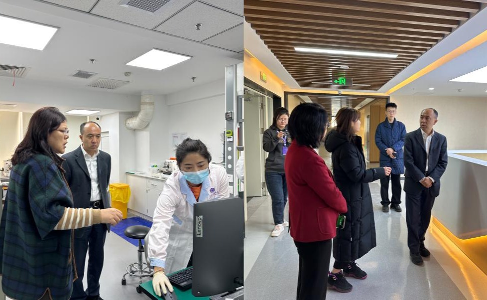 2025新澳门开门原料免费