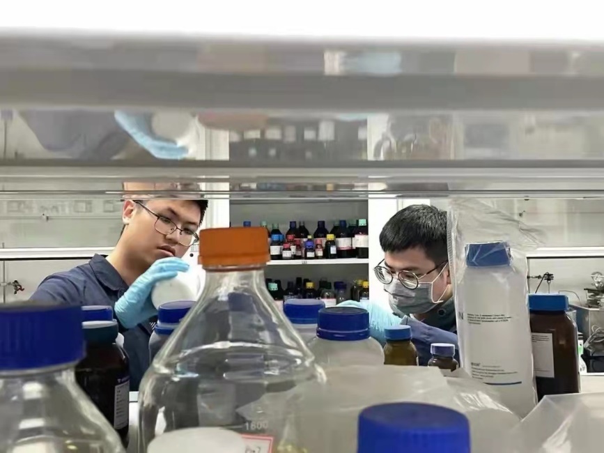 2025新澳门开门原料免费