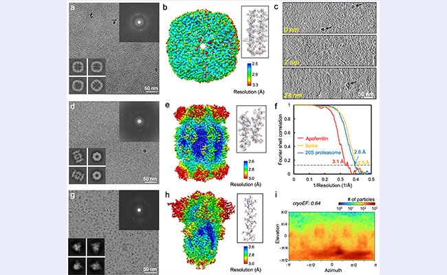 2025新澳门开门原料免费
