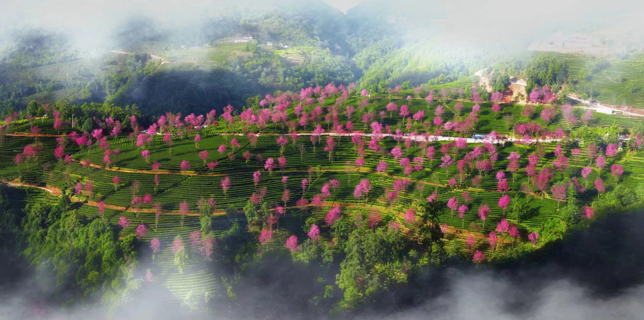 2025新澳门开门原料免费