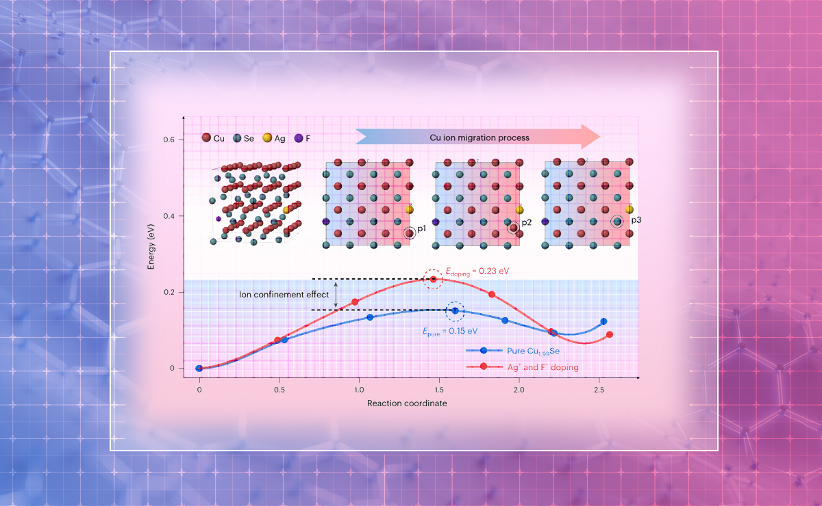 2025新澳门开门原料免费