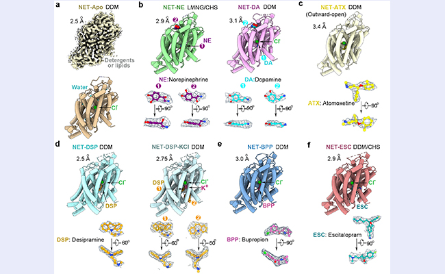 2025新澳门开门原料免费
