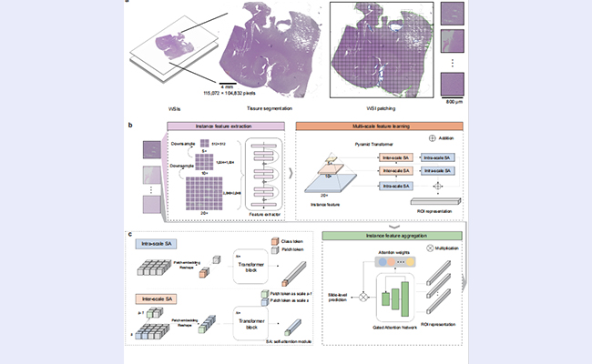2025新澳门开门原料免费