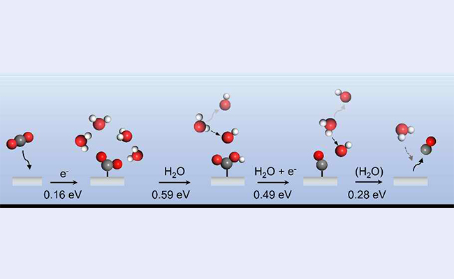 2025新澳门开门原料免费