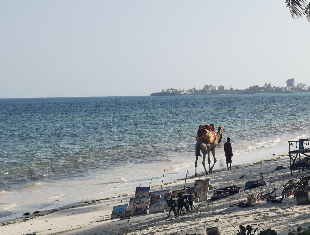 2025新澳门开门原料免费