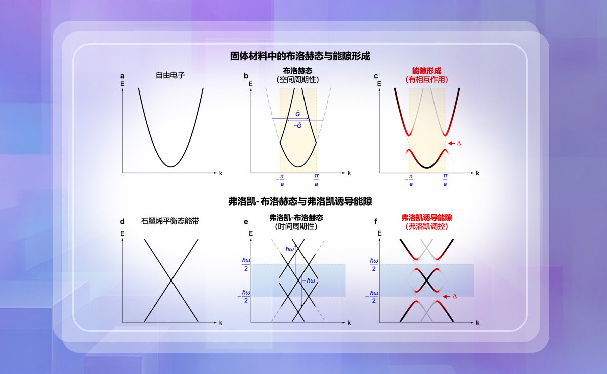 2025新澳门开门原料免费