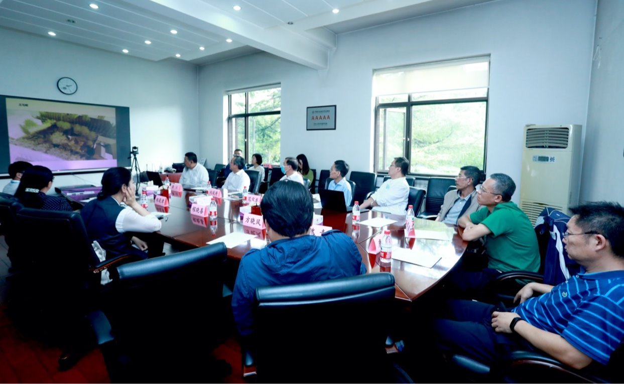 2025新澳门开门原料免费