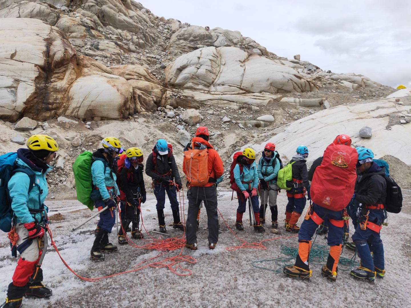 2025新澳门开门原料免费