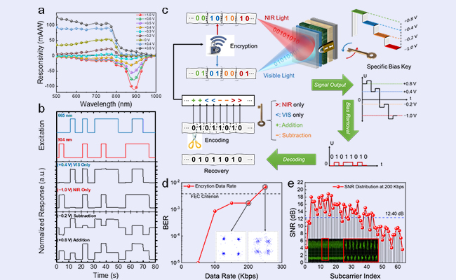 2025新澳门开门原料免费