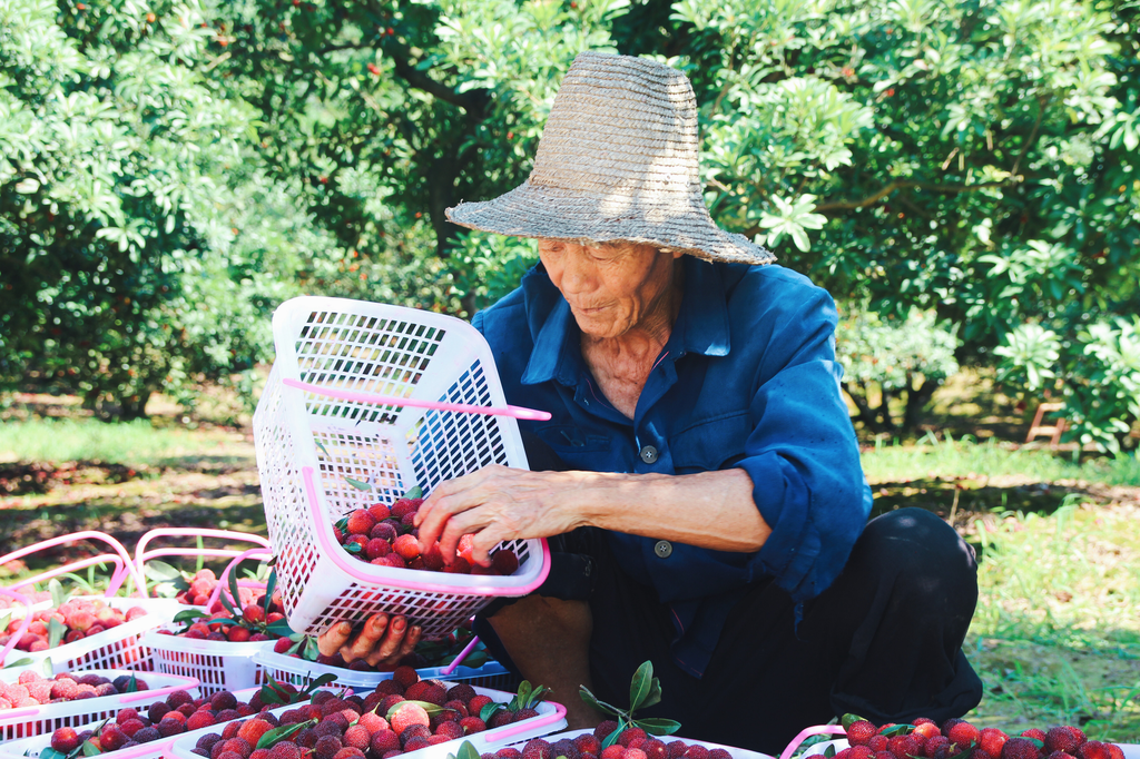 2025新澳门开门原料免费