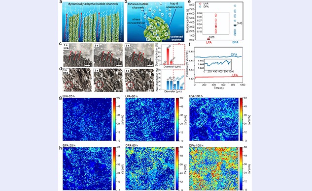 2025新澳门开门原料免费