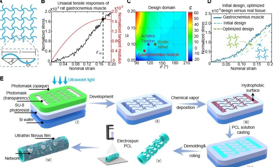 2025新澳门开门原料免费