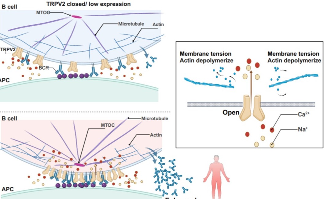 2025新澳门开门原料免费