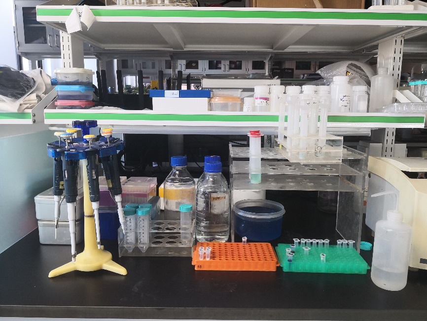 2025新澳门开门原料免费