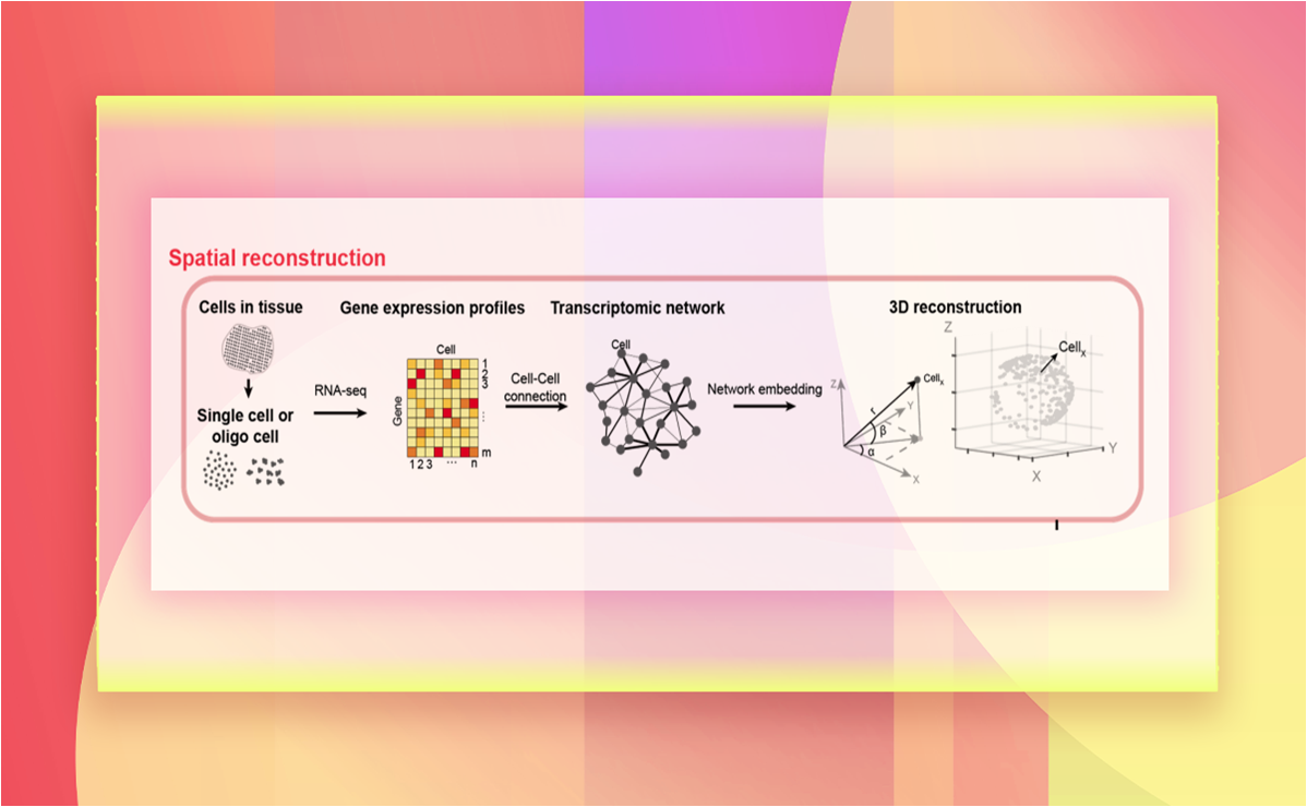2025新澳门开门原料免费