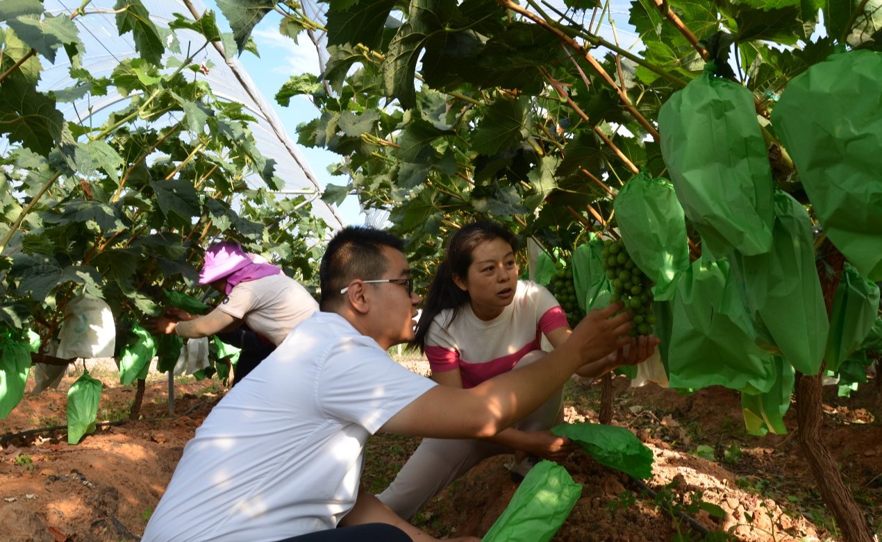 2025新澳门开门原料免费