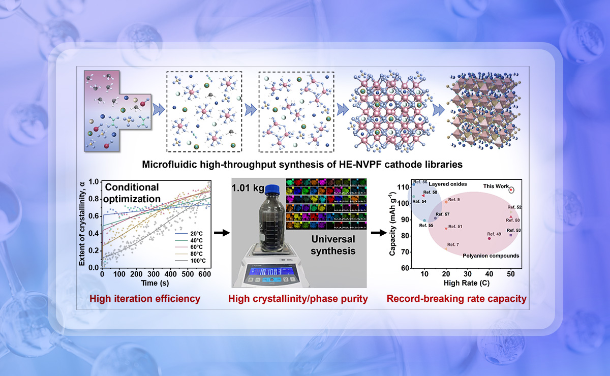 2025新澳门开门原料免费
