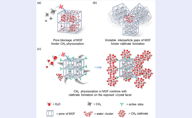 2025新澳门开门原料免费