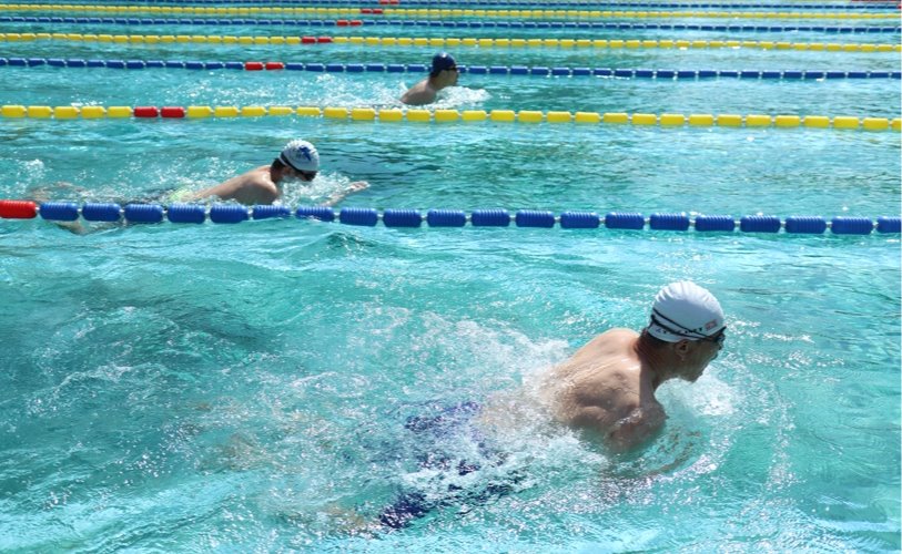 2025新澳门开门原料免费