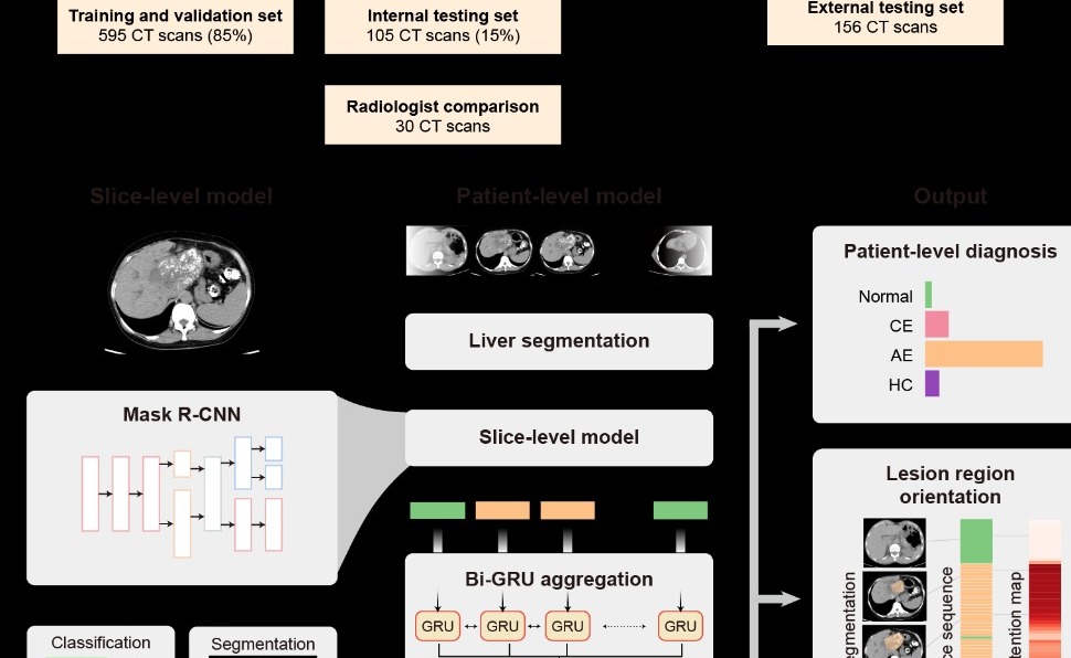 2025新澳门开门原料免费