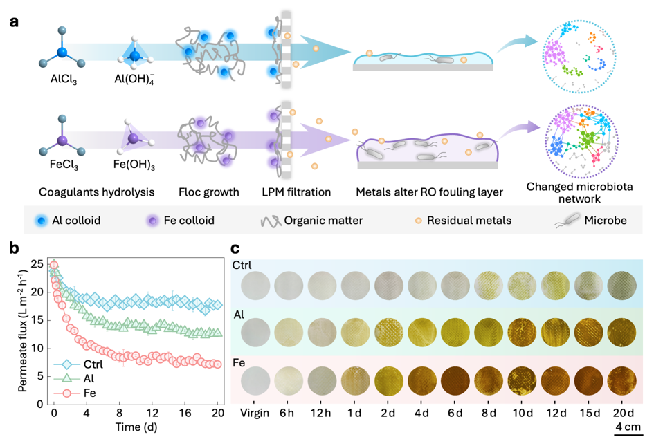 20260319-环境学院黄霞教授团队揭示混凝预处理可能加重反渗透膜污染的新机理-丁昊杰-图1 混凝预处理条件下的RO膜污染特征与运行表现.png