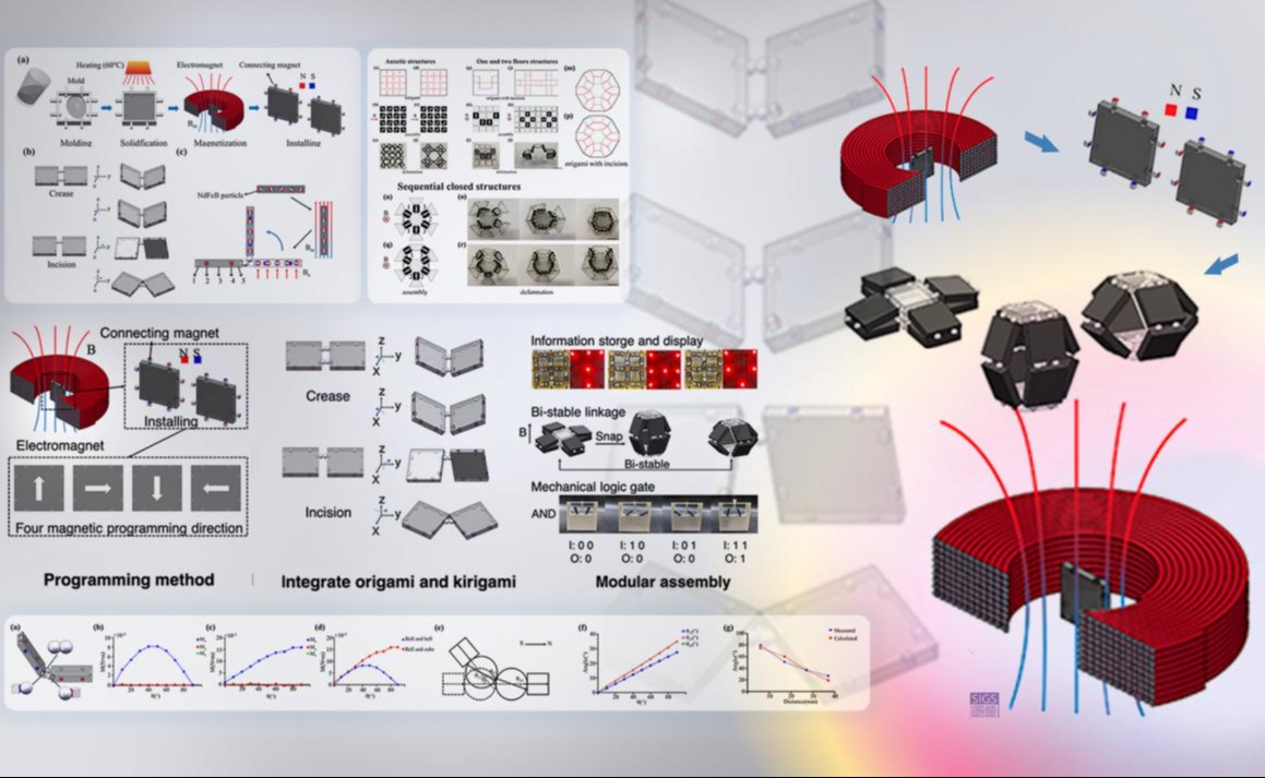 2025新澳门开门原料免费