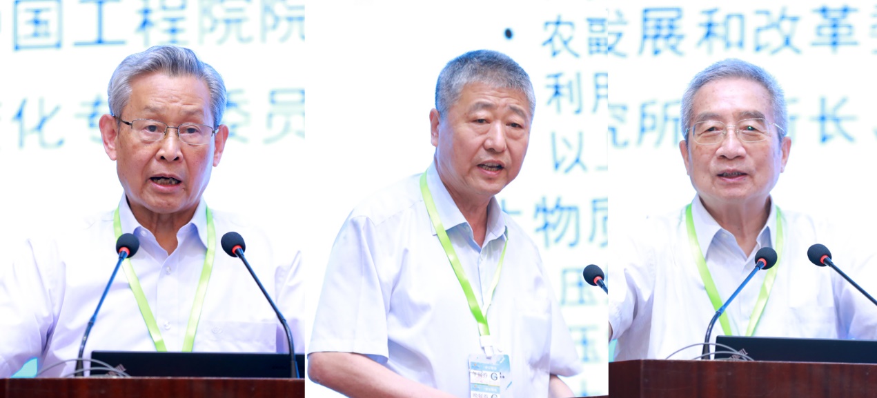 2025新澳门开门原料免费