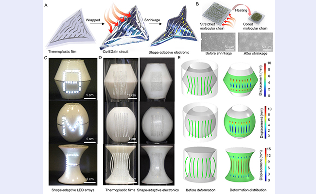 2025新澳门开门原料免费
