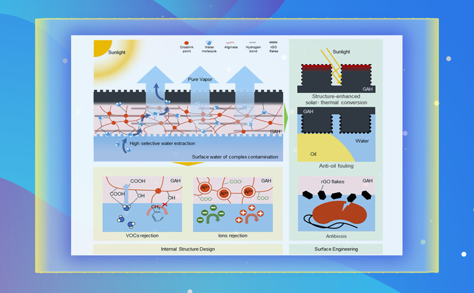 2025新澳门开门原料免费