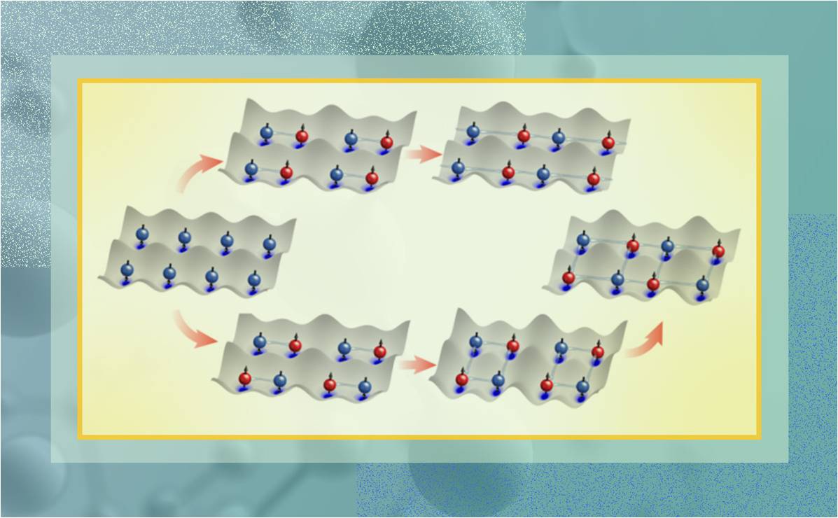 2025新澳门开门原料免费