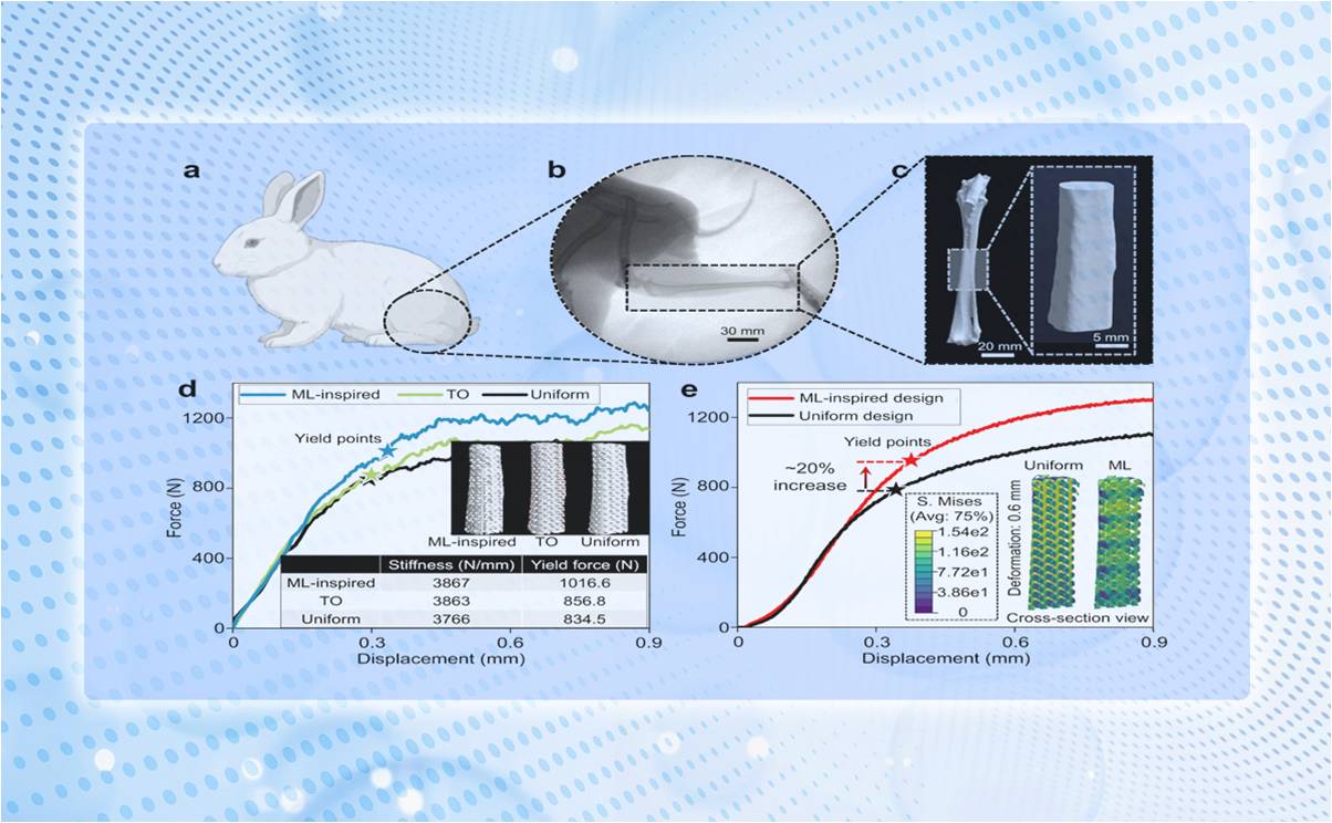 2025新澳门开门原料免费