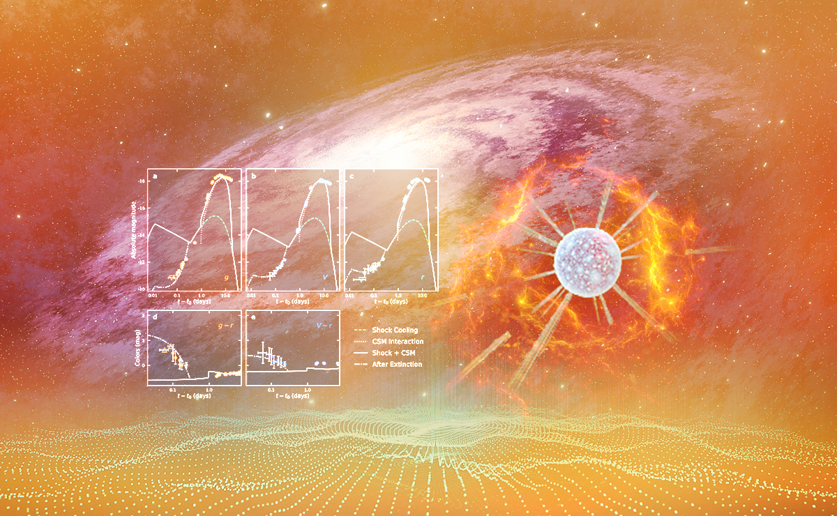 2025新澳门开门原料免费