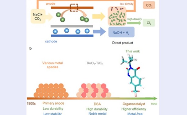 2025新澳门开门原料免费