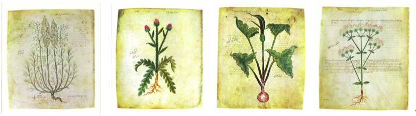 2025新澳门开门原料免费