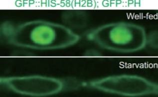 2025新澳门开门原料免费