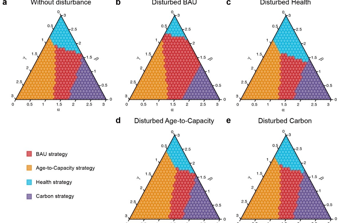 2025新澳门开门原料免费
