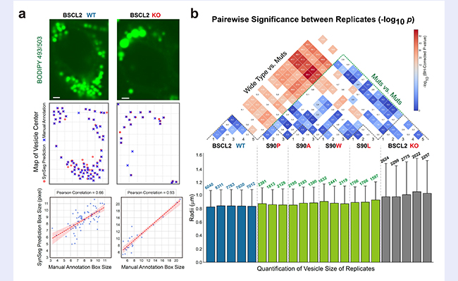 2025新澳门开门原料免费