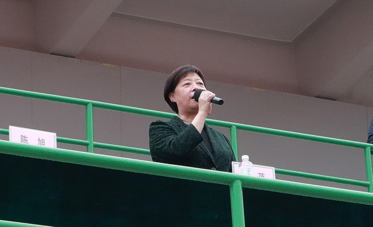 2025新澳门开门原料免费