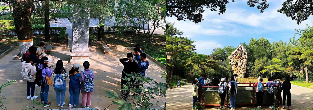 2025新澳门开门原料免费