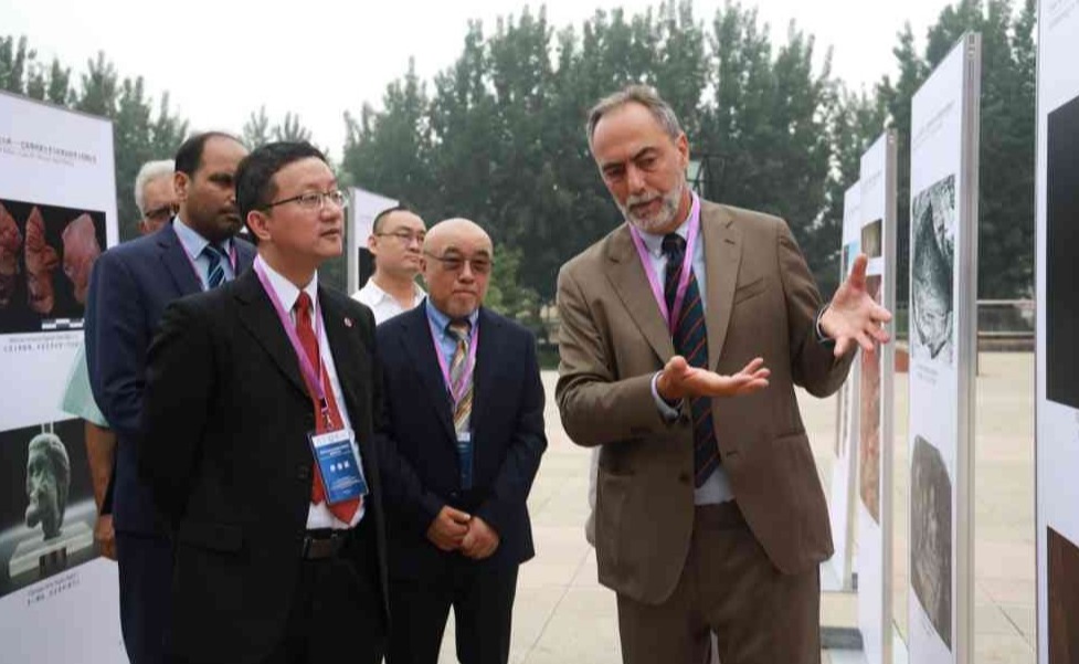 2025新澳门开门原料免费