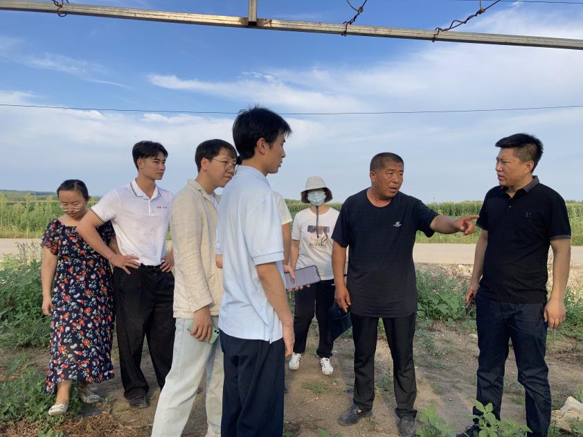 2025新澳门开门原料免费